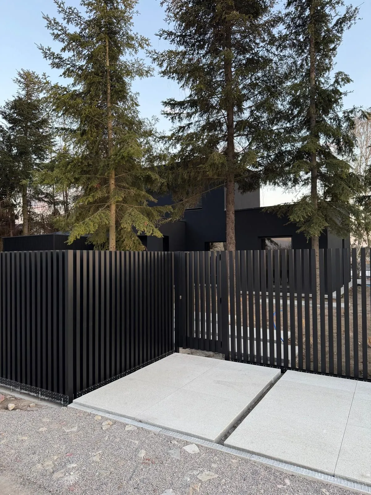 Comb Standard – Warszawa 03.2026